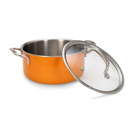 

Vida Stainless Steel Triply Pot With Glass Lid | For Biryani Pulao Halwa Curries | 20 Cm 3 Liters | Rivet Less Handle | Induction & Gas Base | 7 Yrs Warranty Volcanic Color