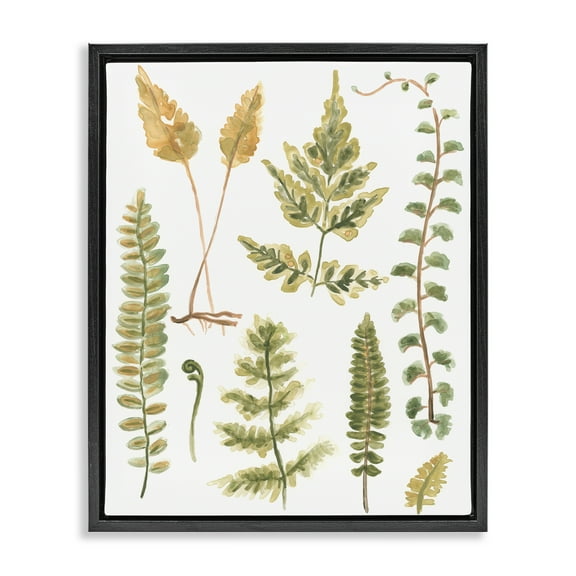 Stupell Industries Varied Fern Leaves Botanical & Floral Painting Black Floater Framed Art Print Wall Art, 17 x 21