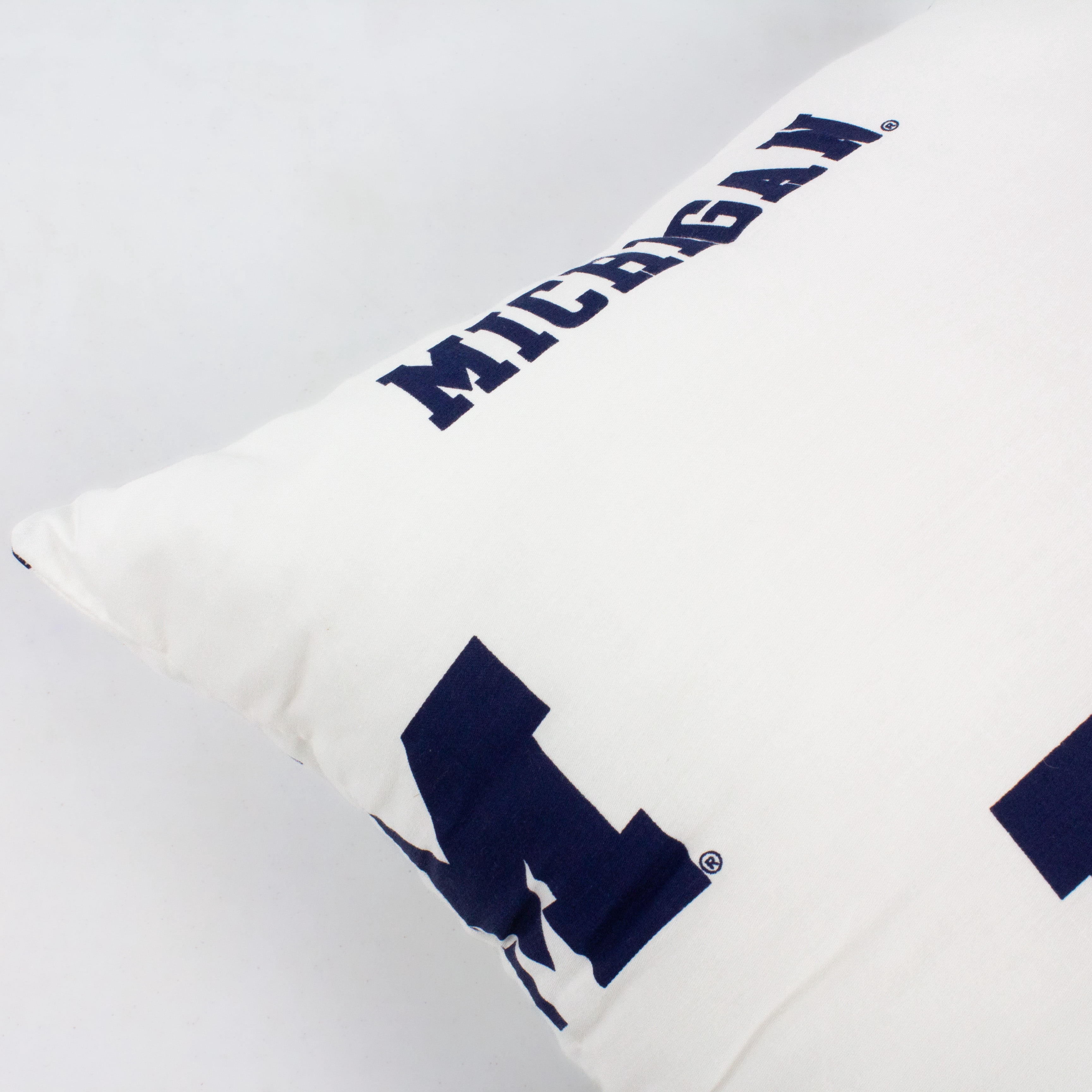 Michigan Wolverines 16" Decorative Pillow - White