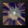 thumbnail image 2 of Blaustein, Alan 20x20 Black Modern Framed Museum Art Print Titled - Floral Color - 15, 2 of 5