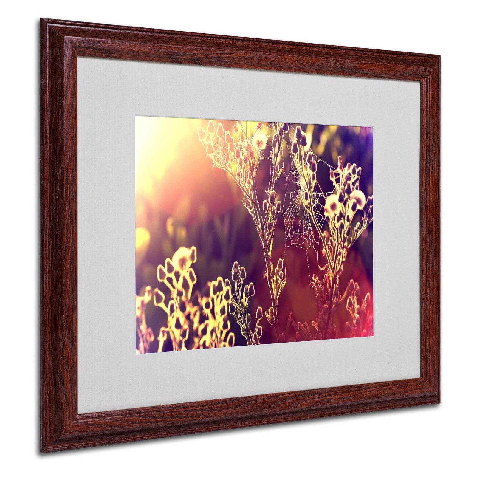Trademark Fine Art "Painting Light" Framed Canvas Art by Beata Czyzowska Young