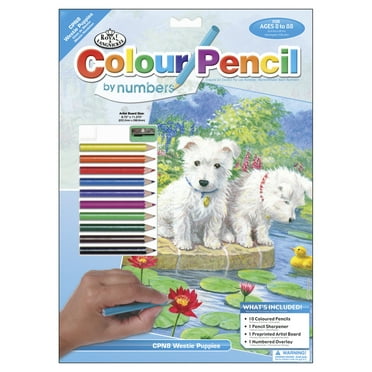 Royal & Langnickel Color Pencil By Number Kit 8.75"X11.75"-Westie Pups