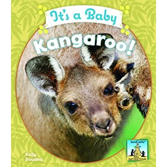 Pre-Owned It's a Baby Kangaroo! (Library Binding) 9781604535761
