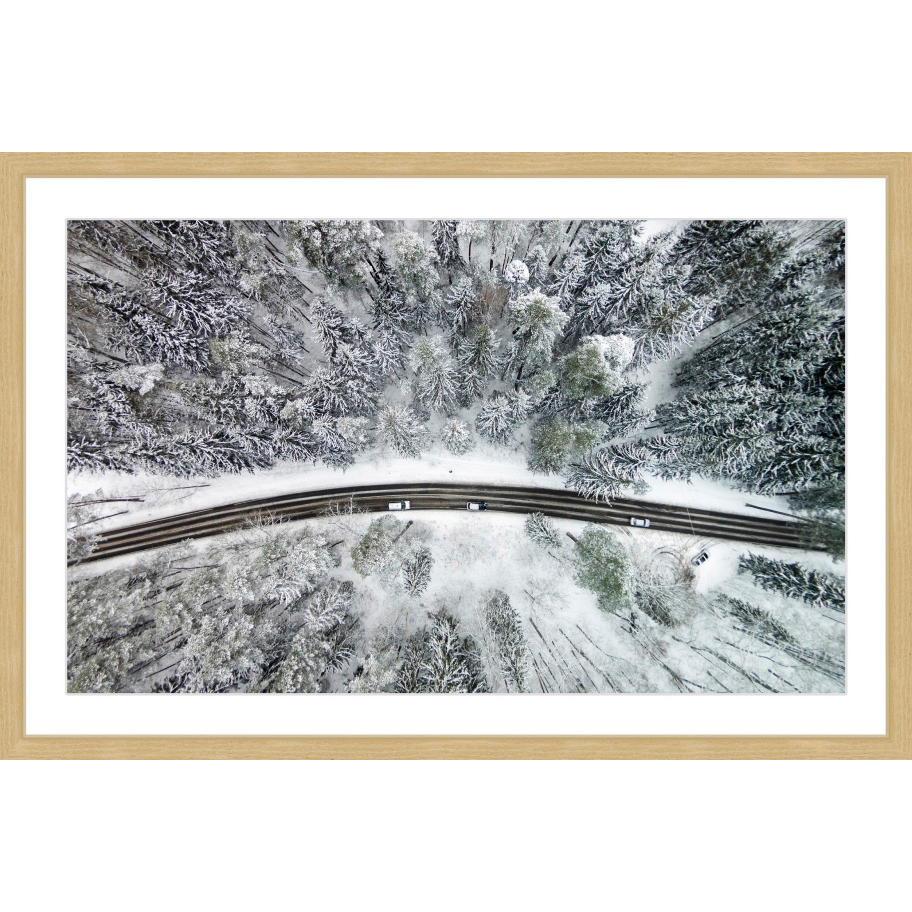 Icy Firs by Karolis Janulis Framed Photographic Print