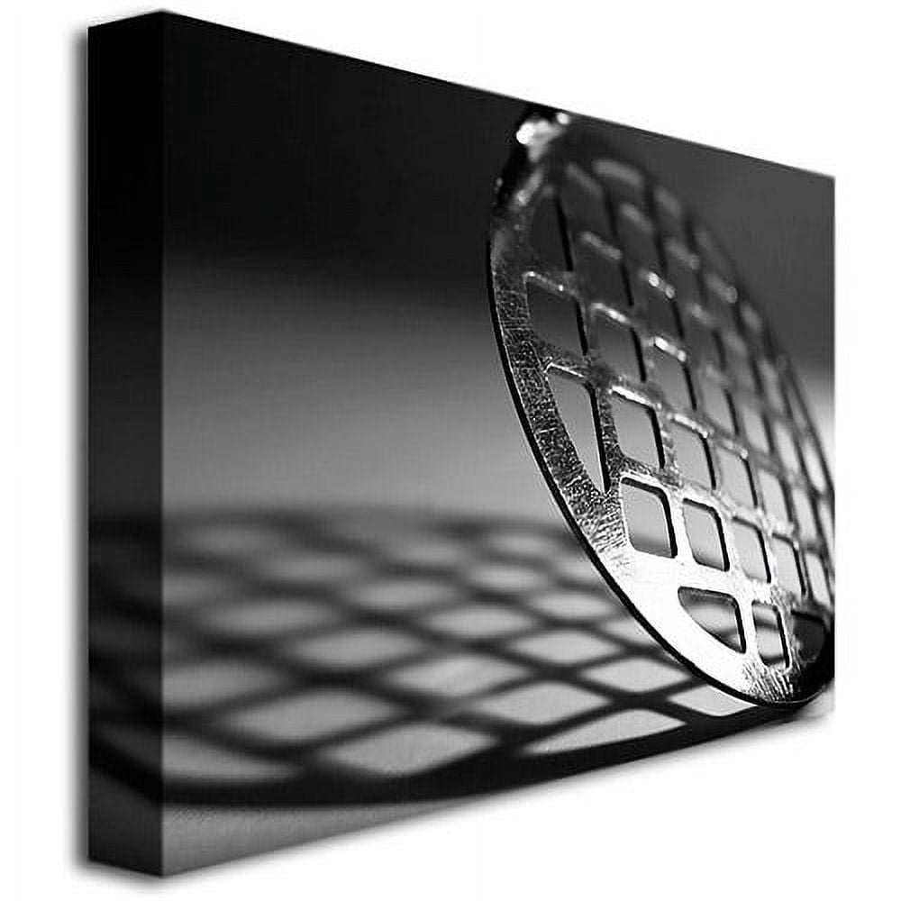 Trademark Fine Art "Masher" Canvas Art by Tammy Davison