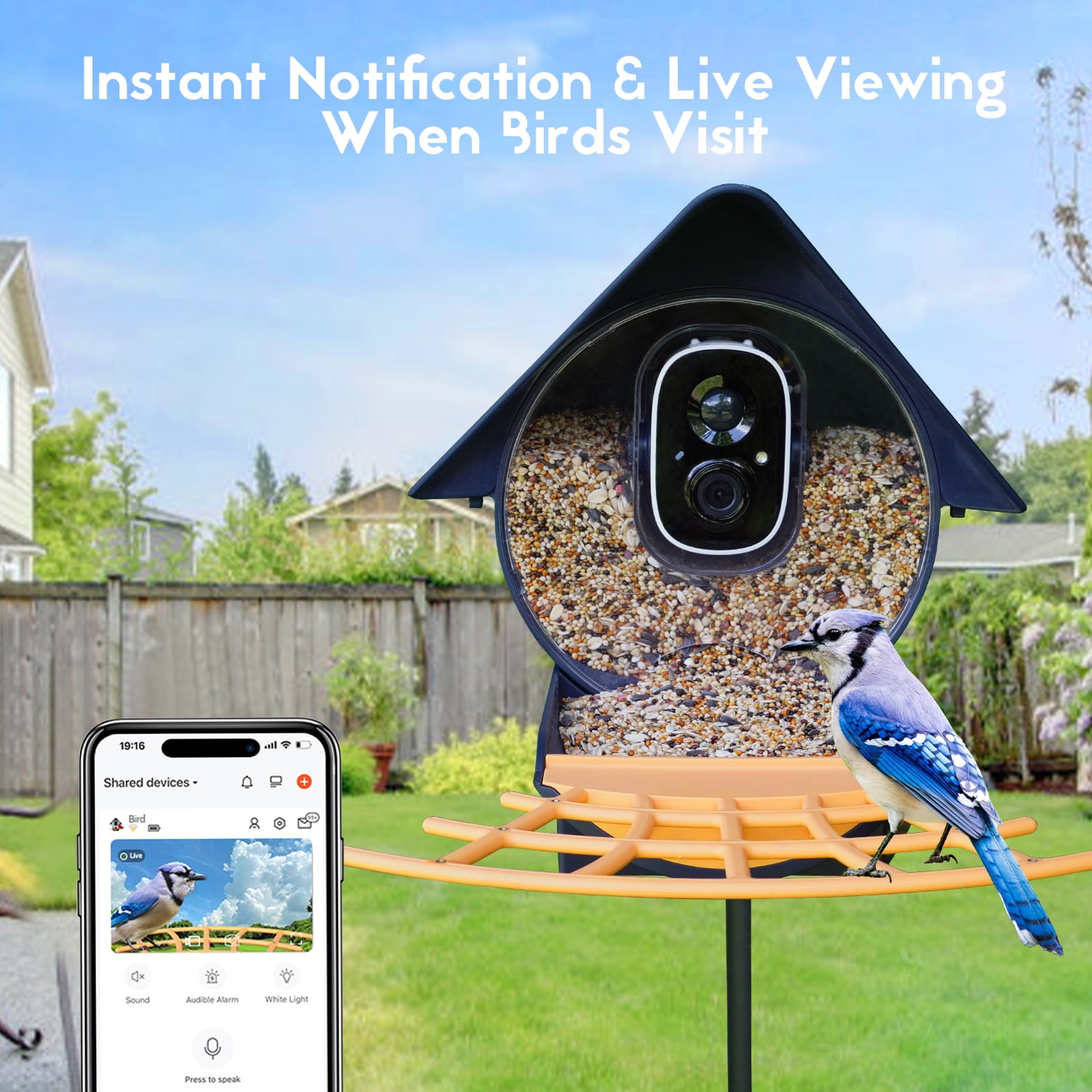 Birdkiss AI Bird Feeder Camera with Capture 1080P HD Images/videos, App Real Time Notification, Smart Bird Feeder for Bird Watching