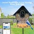 thumbnail image 5 of Birdkiss AI Bird Feeder Camera with Capture 1080P HD Images/videos, App Real Time Notification, Smart Bird Feeder for Bird Watching, 5 of 8