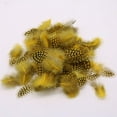 thumbnail image 4 of 50pcs Guinea Hen Feather Dyeing Chicken Feathers Crafts Backdrops, 4 of 9