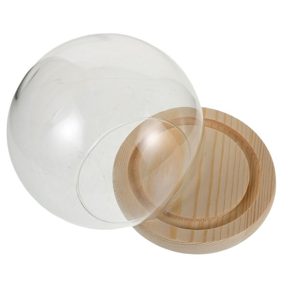 OFFIGAM Round Glass Display Dome with Wooden Base for Decoration  Transparent Cloche for Preserved Flowers and Mini Figures