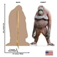 thumbnail image 5 of Cardboard People Orangutan Life Size Cardboard Cutout Standup - Made in USA, 5 of 5