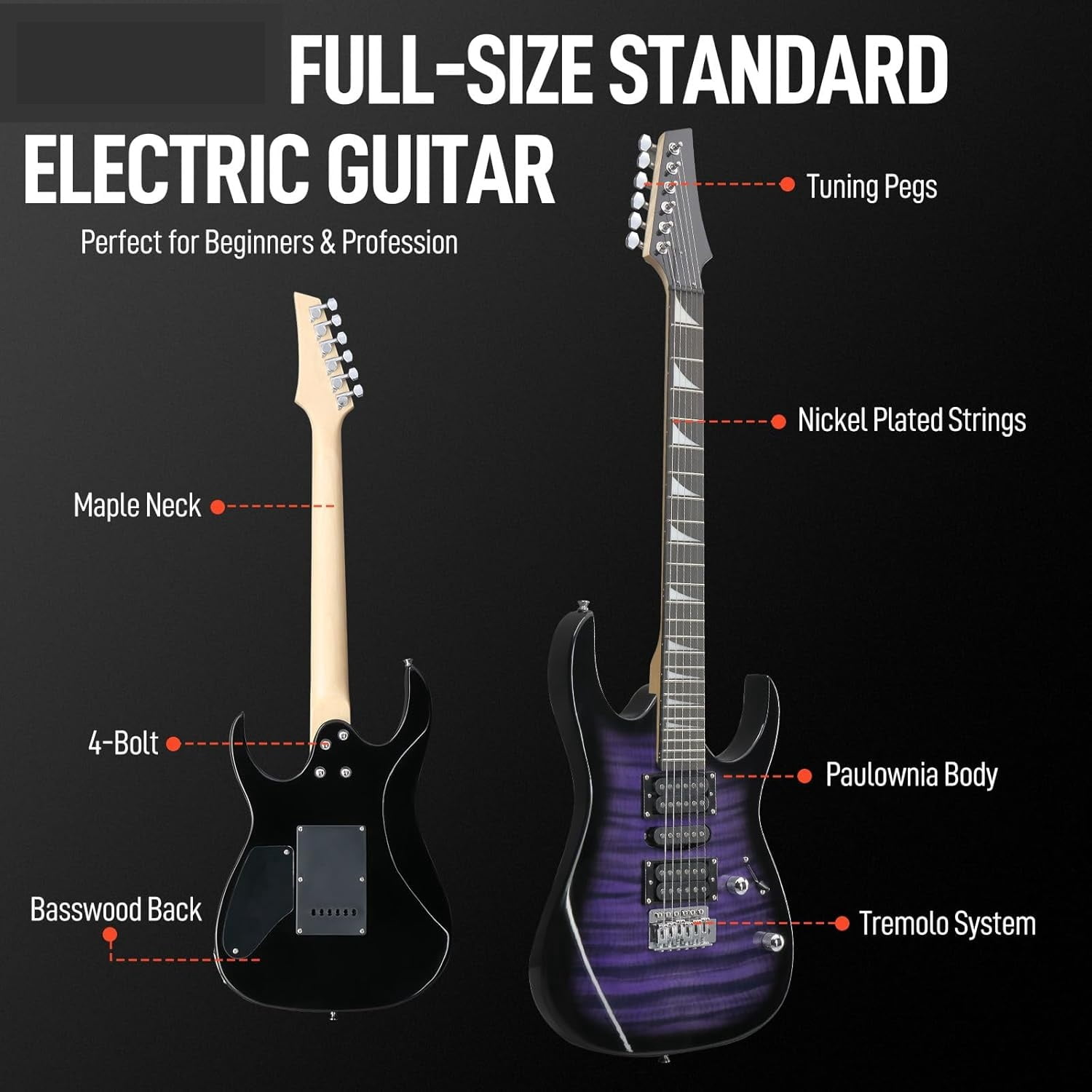 Hassch Electric Guitar, 39 inch Beginner Electric Guitar Kit with Amp, Bag, Strap, Capo, Cable, Plectrum, Tremolo Arm and Wrench Tool, Purple