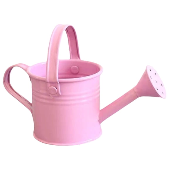 ACDANC Metal Rustic Watering Can, 1 Gallon Metal Watering Can Outdoor, Flower Plant Gardening Garden Large Watering Can Pot, Black Galvanized Steel Handles and Long Spout, White