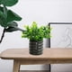 thumbnail image 5 of Flor de simulación de cerámica en maceta, decoración interior del hogar, planta verde artificial de escritorio, bonsái, flor falsa, 5 of 5