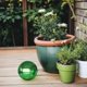 thumbnail image 4 of NUOLUX Bola De Verde Para Exterior En Inoxidable Con, 4 of 8