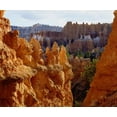 thumbnail image 2 of Talbot Frank, Christopher 17x15 Gold Ornate Wood Framed with Double Matting Museum Art Print Titled - Utah, Bryce Canyon NP Sandstone formations, 2 of 4