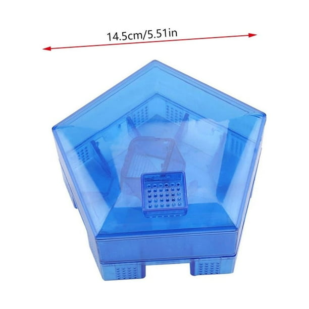 Caja De Trampa Para Cucarachas Reutilizable No Tóxica, Atrapamoscas De Cocina Para El Hogar, Atrapamoscas Para Cucarachas