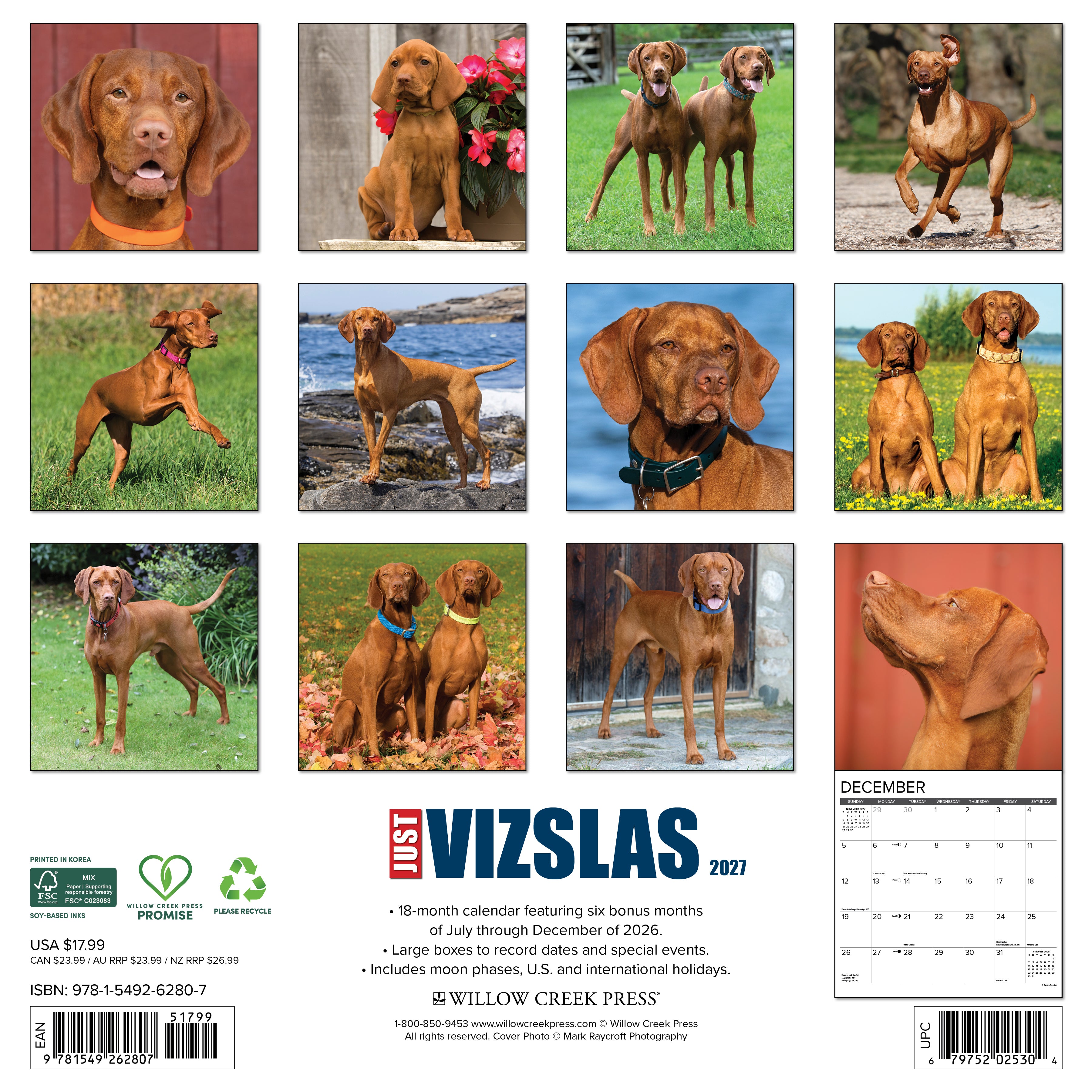 Willow Creek Press, Vizslas 2027 Wall Calendar