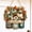 Fall3, variant on Fall Door Decor Wooden Pumpkin Door Hanger, Welcome Sign for Front Door