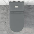 thumbnail image 2 of WinZo WZ5080GR Comfort Tall One Piece Toilet Dual Flush Low Profile Tank High Efficiency 17.3" Comfortable Seat Height,Matte Grey, 2 of 7