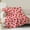 Pink Strawberry, variant on Cherries Blanket Gifts for Women Girls Mom Kids Adults Teen Birthday Christmas Valentine Present Pink Cherry Fruit Theme Decor Home Bedroom Living Room Sofa Couch Soft Cozy Plush Fleece Throw 60"x50"