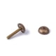 thumbnail image 2 of Espejo de vidrio de latón engrosado, clavo plano, tornillo autorroscante para clavos, tornillo de tapa decorativa curva, feo y hermoso, 2 of 3