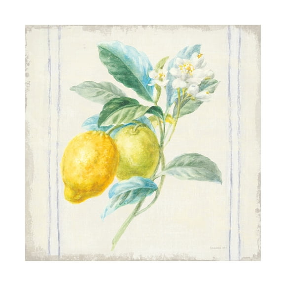 Trademark Fine Art 'Flour sack Lemons II Sq Navy' Canvas Art by Danhui Nai