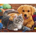 thumbnail image 1 of Pintura de diamante (DE7896) 5D DIY Square Cat Dog Animal Rhinestone Obra de arte 20X30cm FLhrweasw Nuevo, 1 of 1
