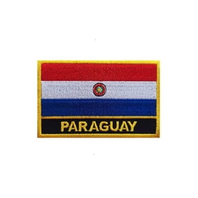 Ruoming 1 PCS National flag Patches Iron On or Sew On Embroidered Tactical Military Paraguay Patch