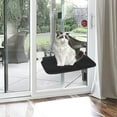 thumbnail image 1 of Asiento de Percha para ventana de gato Salvador Lavable Negro, 1 of 10