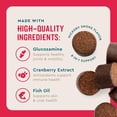 thumbnail image 6 of VetIQ 8-in-One Multifunctional Supplements for Dogs, Supports Hip & Joint, Urinary Tract, Immune System, Skin Health and Heart Health, Soft Chews, 60 Count, 6 of 11
