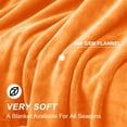 thumbnail image 3 of Astarin Throw Blanket, Twin Size Orange Blankets & Throws for Couch/Beds, Fuzzy and Cozy Blanket, 60x80 inches, 3 of 9