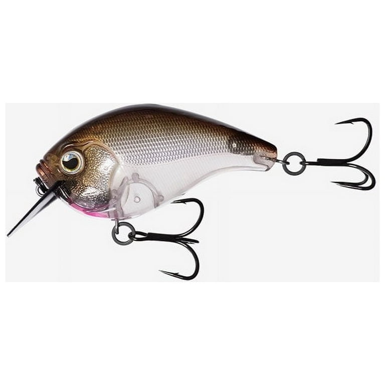 13 Fishing Scamp Square Bill Crankbait 1/2Oz Airfoil Carbon B Sports and  Outdoor E-SC15-PN