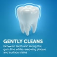 thumbnail image 6 of ARM & HAMMER Peroxicare Toothpaste – Clean Mint- Fluoride Toothpaste, 6 of 13