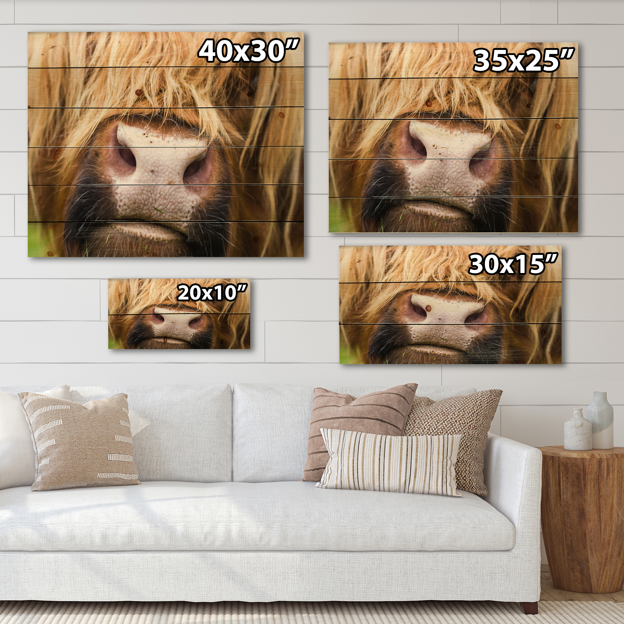 Designart 'Close-Up Highland Cattle' Farmhouse Print on Natural Pine Wood