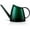 Green, variant on WhaleLife Indoor Watering Can for House Bonsai Plants Garden Flower Long Spout 40oz 1.4L PS Resin Pot (Green)