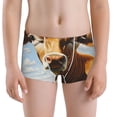 thumbnail image 5 of Yiaed Daisy Flower Field Cow Print Boys' Boxer Briefs Cotton Casual Stretch Comfort Boys Boxers - Kids Boxer Briefs Underwear for Boys (6-18)-X-Large, 5 of 5