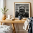 thumbnail image 5 of Silverback - Photography Wildlife Black and White Animal Portrait Nature Jungle Moody Unframed Wall Art Print 20 x 20 inches, 5 of 9