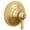 Brushed Gold, variant on Moen TS44401BG Colinet Traditional ExactTemp Thermostatic Valve Trim Kit, Valve Required
