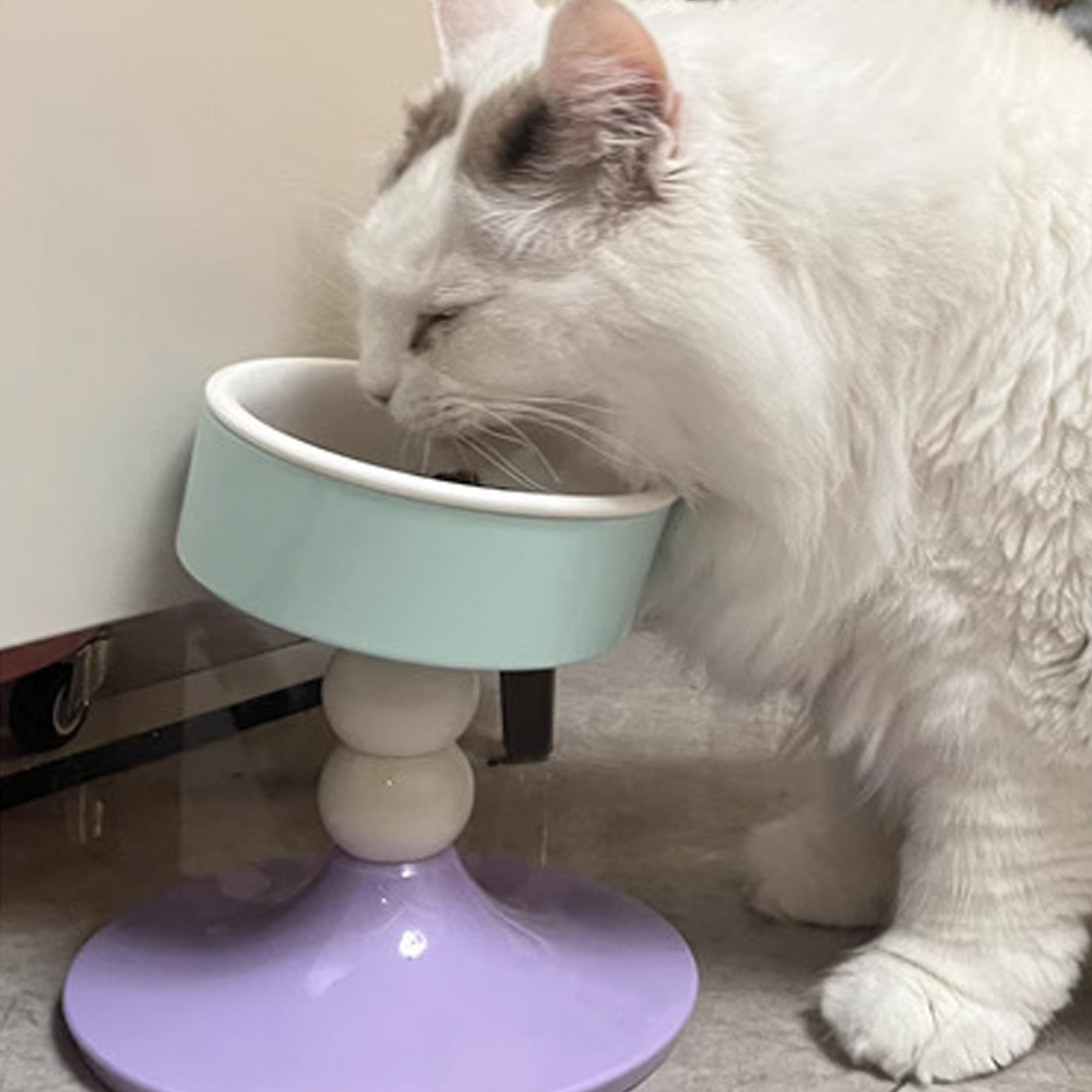 Raised Pet Feeders 3 Adjusting Height Ceramic Water Bowl SlipProof Base Ergonomic Cats Feeding Dish for Daily Use