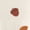 Cream Autumn, variant on Baby Sleep 'N Play, Sizes Preemie-6/9 Months