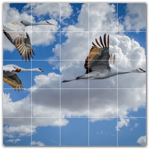 Picture-Tiles.com: Bird Ceramic Tile Wall Mural WAL500140-55M. 30"W x 30"H using (25) 6" x 6" Ceramic Tiles-Satin Finish