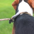 thumbnail image 2 of Braided Dog Leashes Rope Pet DogLeash Dog Traction Rope Leashes Dog Walking Training Lead for Dogs, 2 of 4