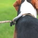 thumbnail image 3 of Correas trenzadas para perros, cuerda para mascotas, correa para perros, correas de cuerda para perros, correa de entrenamiento para caminar para perros, 3 of 5
