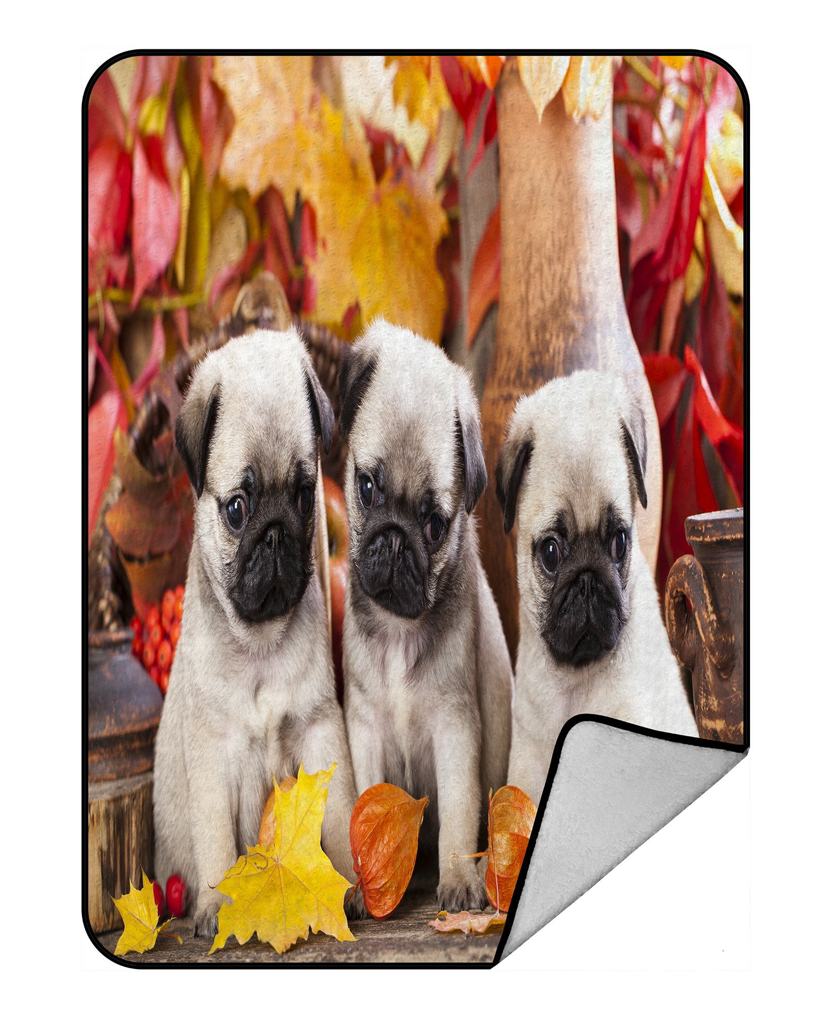PHFZK Animal Blanket, Cute Pug Dog Fleece Blanket Crystal Velvet Front