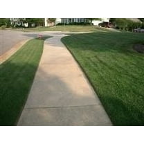 SeedRanch Kentucky Bluegrass Seed - 20 Lbs.