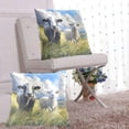 thumbnail image 6 of Cattle and Sheep on Grassland Cute Throw Pillow Covers Pillowcases 20 x 20 Inch Home Decor 2 Packs for Bedroom Sofa, 6 of 6