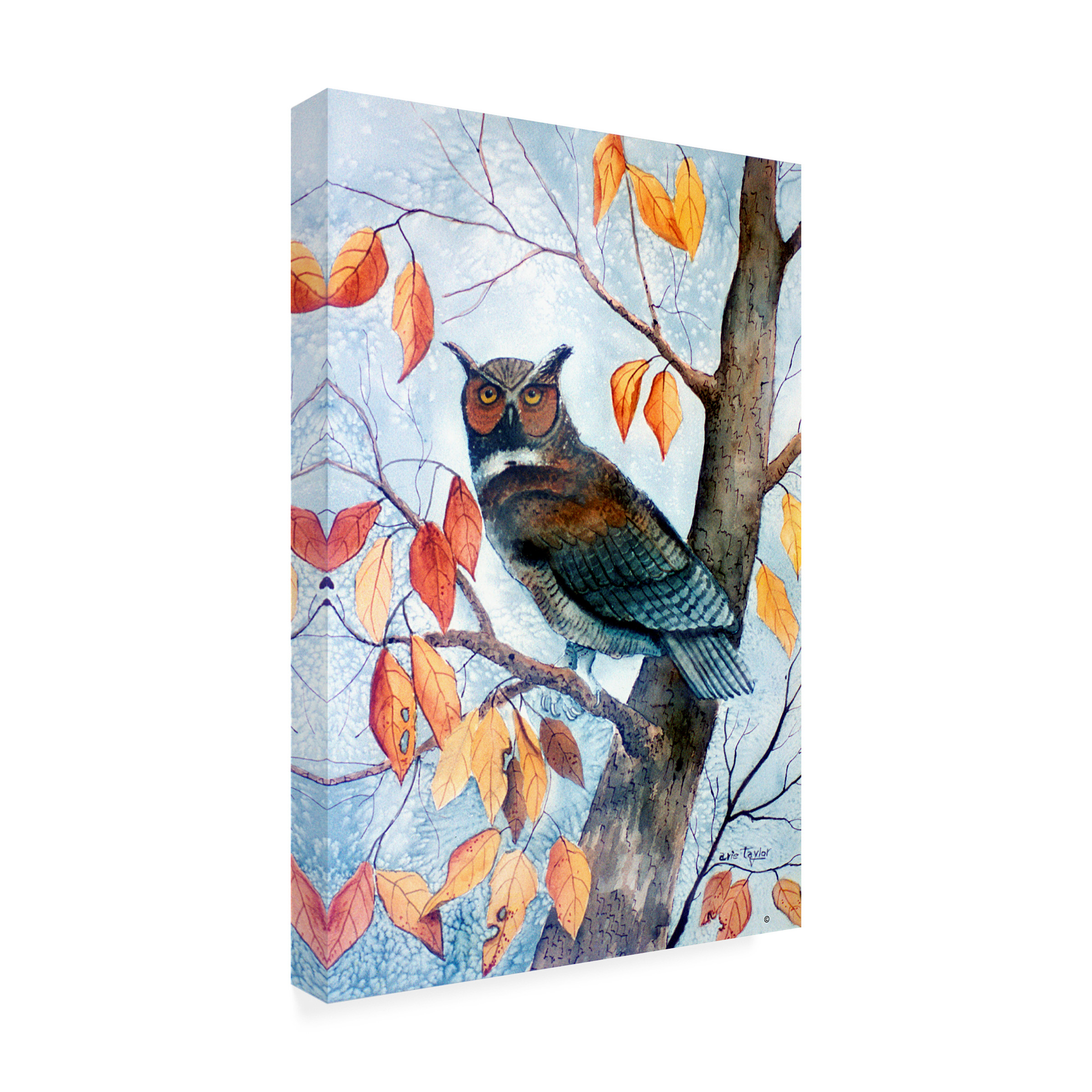 Trademark Fine Art 'Owl And Autumn Leaves' Canvas Art by Arie Reinhardt Taylor