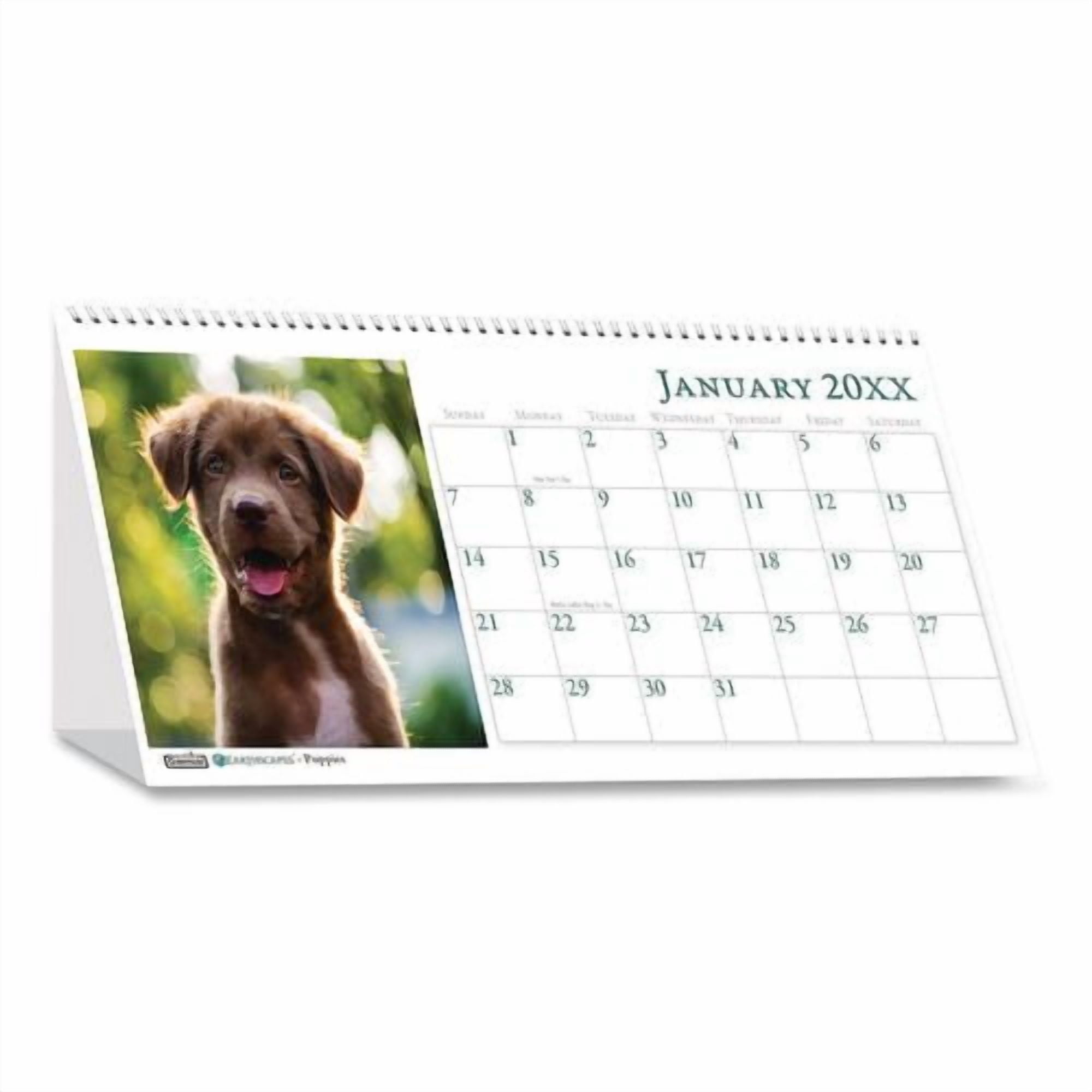 Earthscapes Recycled Desk Tent Monthly Calendar, Puppies Photography, 8.5 x 4.5, White Sheets, 12-Month (Jan to Dec): 2026 | Bundle of 10