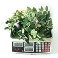 thumbnail image 4 of Colgando Planta Artificial Navidad Huevo Pino Rama Corona - Verde Artificial Invierno Huevo Decoración Coronas de Navidad Artificiales, 4 of 7