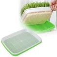 thumbnail image 3 of BotaniNest Sprout Germination Tray Hydroponic Growing For Wheatgrass Soilless Vegetable Planter, 3 of 6